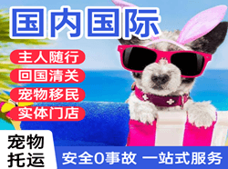 白山航空货运国际宠物托运 【国